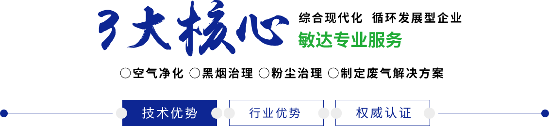 日逼逼视频快点要要要敏达环保科技（嘉兴）有限公司